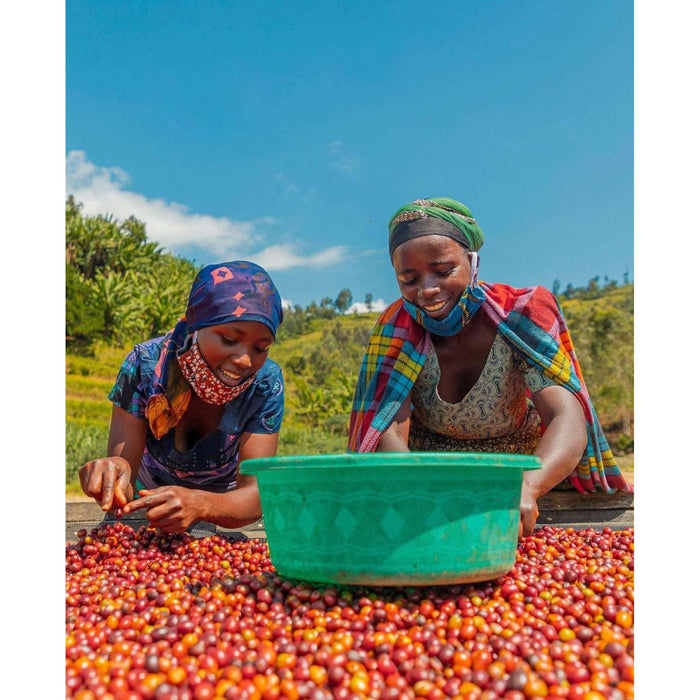 Single Origin | Women’s Crown | Rwanda,Coffee,Trvl Love Koffee,Trvl Love Koffee